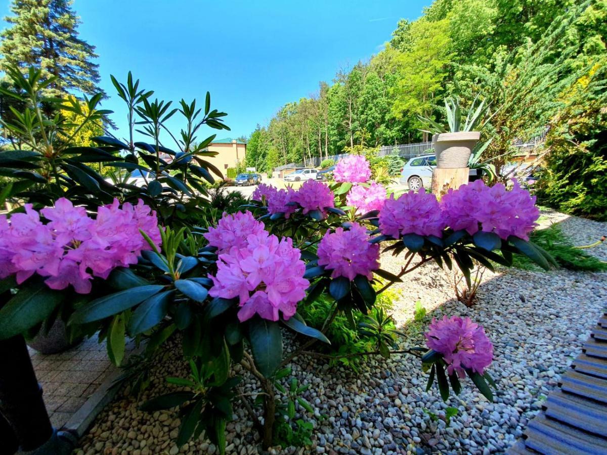 Hotel Mazuria Country & Spa Мронгово Екстер'єр фото
